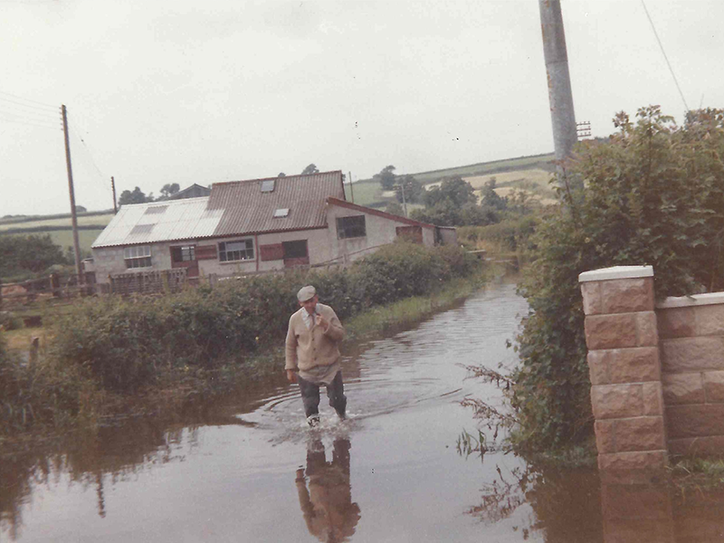 Henry in the Floods